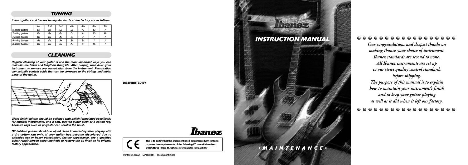 Ibanez Electricguitar Maintenance